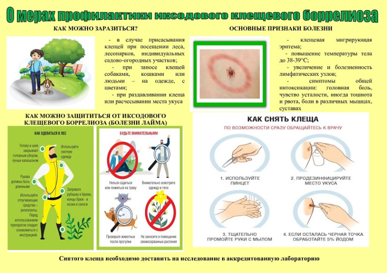 "Горячая линия" по вопросам профилактики клещевого энцефалита.